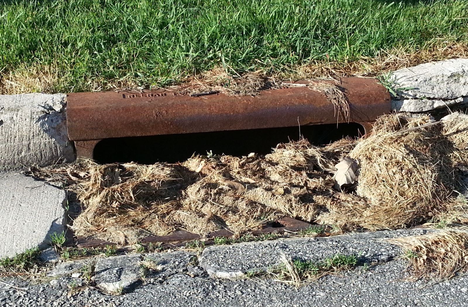 Storm intake clogged by grass clippings