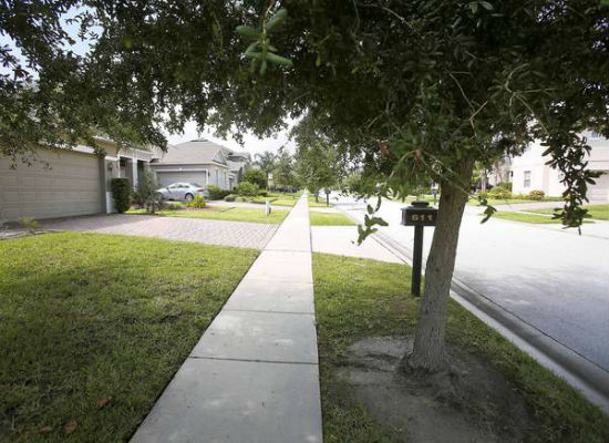 Sidewalk Repair Program