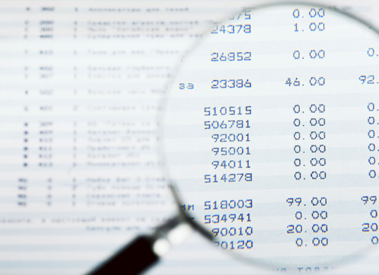 Audits & Budgets
